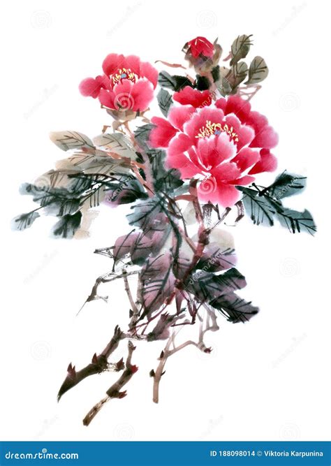 Watercolor of Peony Flower,traditional Chinese Ink and Wash Painting ...