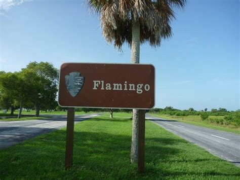 Flamingo (Everglades National Park) - 2021 All You Need to Know BEFORE ...