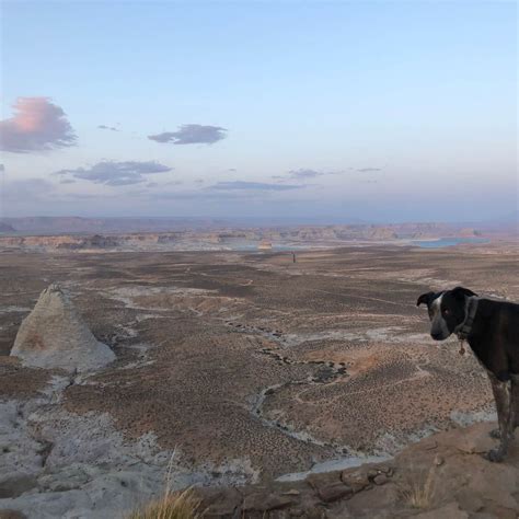 Best camping in Arches National Park | The Dyrt