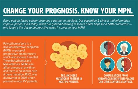 Polycythemia Vera (PV) – MPN Research Foundation