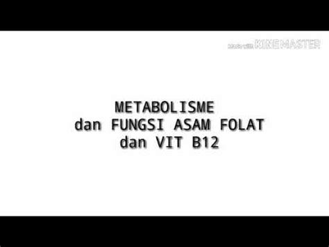 Metabolisme dan Fungsi Asam Folat dan Vitamin B12 - YouTube