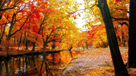 Fall Hd Wallpaper - Goimages City