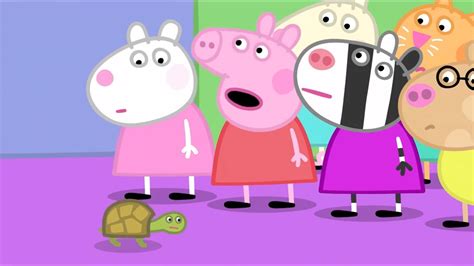 Peppa Pig: Doctor Hamster’s Tortoise - YouTube