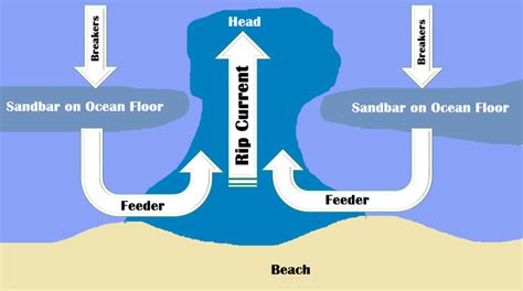 Rip current formation flow | Download Scientific Diagram