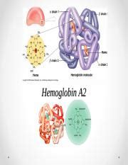 Hemoglobin-A2.ppt - Hemoglobin A2 Introduction • HBA2 is a protein ...