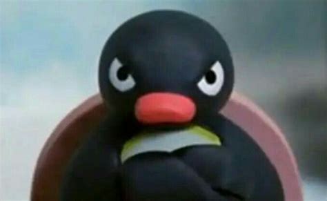 Funny Pingu Memes