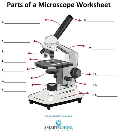 Microscope Review Diagram | Quizlet