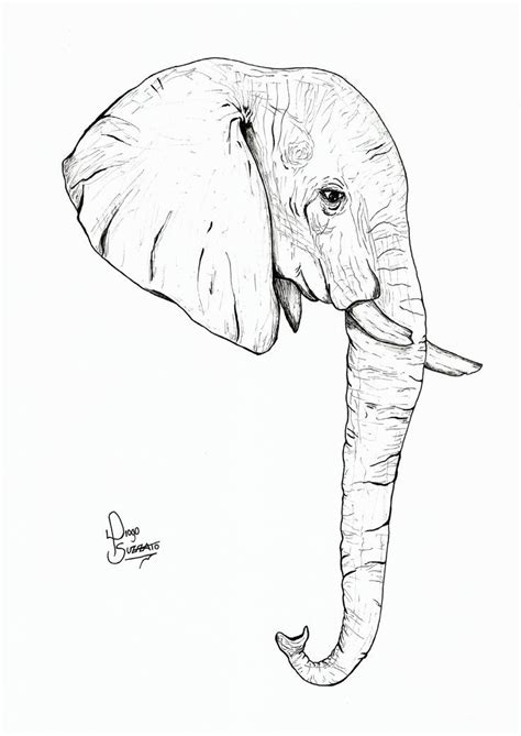 Pin by Ger Cab on Elephant sketch in 2023 | Elephant head drawing ...