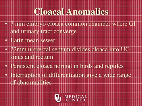 PPT - An Overview of Cloacal Malformation and UG Sinus PowerPoint ...