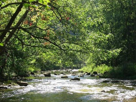 DIY Guide to Fly Fishing Spring Creek in Pennsylvania | DIY Fly Fishing