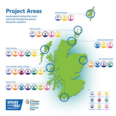 Species on the Edge - Our Species Projects | NatureScot