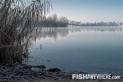 Cold Lake Fishing Charters & Guides | FishAnywhere