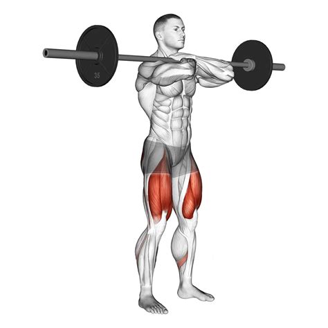 Know About Front Squat and Its Variations to Stay Strong