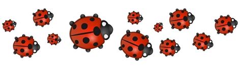 Ladybug Symbolism - Lucky Ladybird Meaning and Superstitions