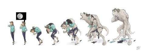 Werewolf Transformation Drawings