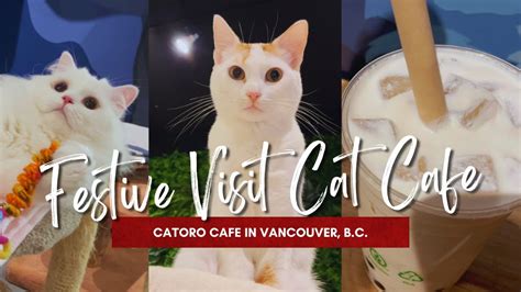 Festive Visit to Cat Café - YouTube