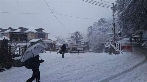 Photos: Heavy snowfall blocks 460 routes in Shimla, Manali | The Times ...