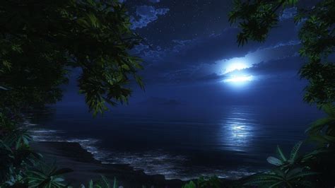 nature ocean beaches waves sky night trees tropical jungle wallpaper 3d ...