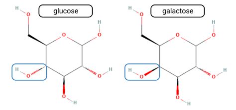 Structural difference between glucose and galactose. | Download ...