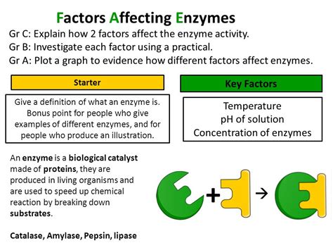 NEW (2016) AS-Level Biology – Factors Affecting Enzyme Action Teaching ...