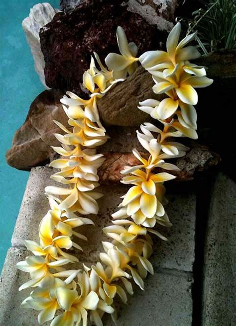 Yellow Plumeria Lei... | Honolulu oahu, Hawaiian travel, Kauai wedding