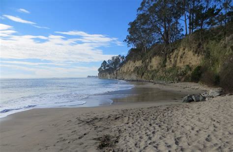 New Brighton State Beach in Capitola, CA - California Beaches