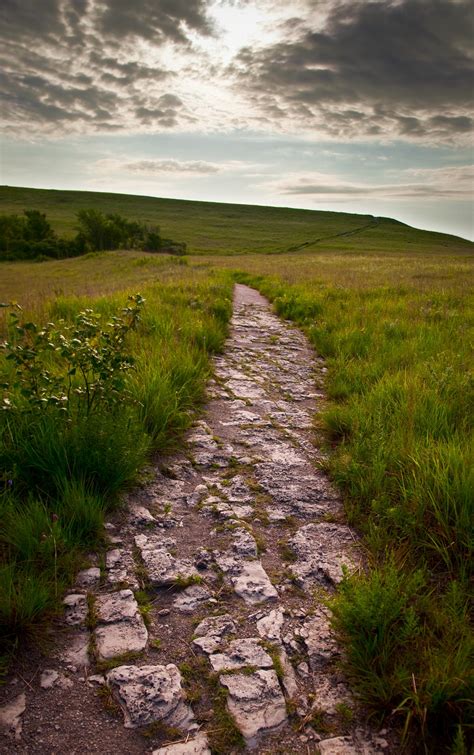 Konza Prairie [IMAGE] | EurekAlert! Science News Releases