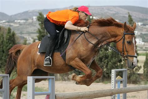 If you love horses and you love horse riding, you'll love Thanasis Farm ...