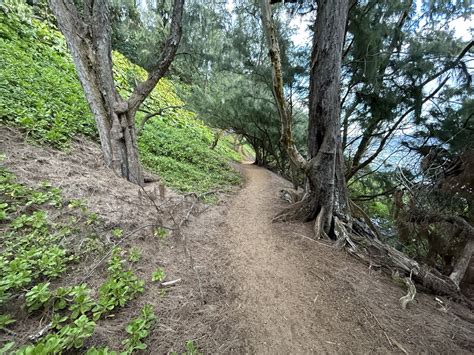 Hiking to Kaihalulu Red Sand Beach in Hānā on Maui — noahawaii