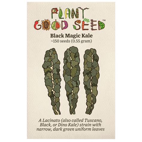 Organic Kale Seeds: Non-GMO, Certified Organic Heirloom Varieties - The ...