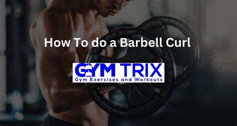 How To do a Barbell Curl – Benefits, Proper Form, And Tips - Gym Trix