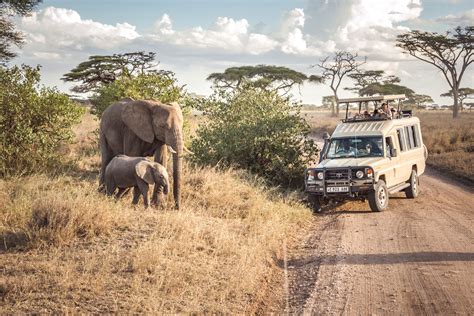 Serengeti National Park Safari | Tanzania Wildlife Safari in Serengeti