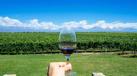 Mendoza Wine Tours: All You Need to Know | Bookmundi