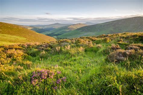 Wicklow Mountains National Park