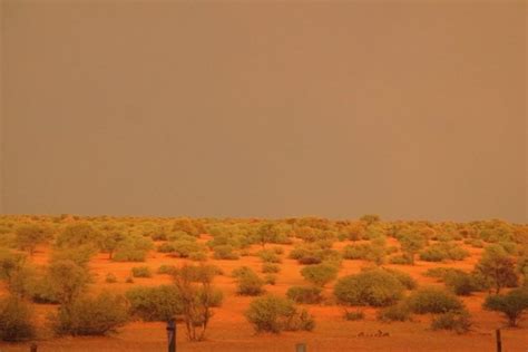 Kalahari breathtaking transformation from desert to lush green paradise