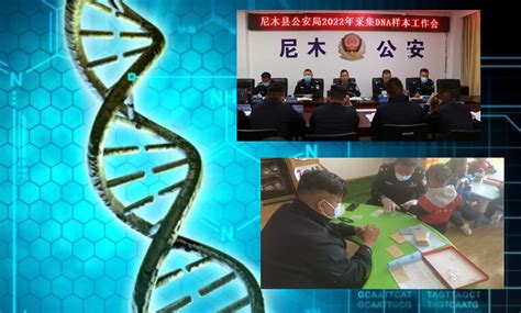 Rights group condemns China’s collection of DNA samples in Tibet as a ...