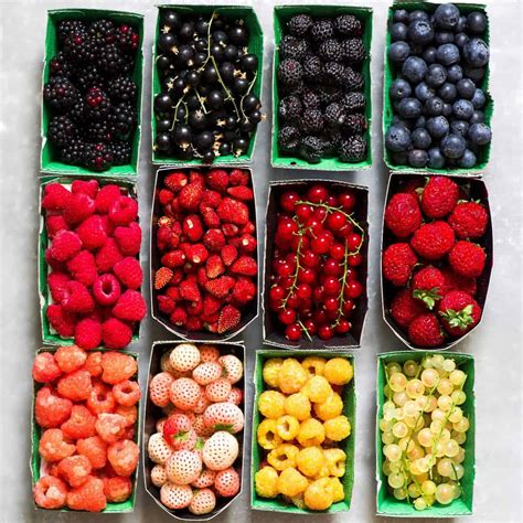 Different fresh berries types - Alphafoodie