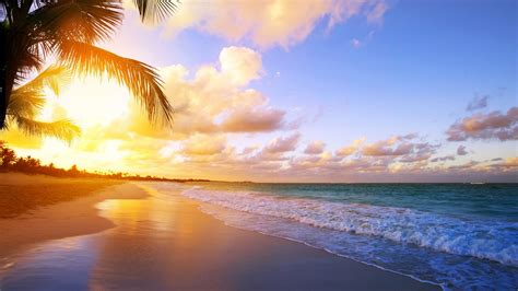 Palm Trees Beach Sand Ocean Waves Under White Clouds Blue Sky During ...