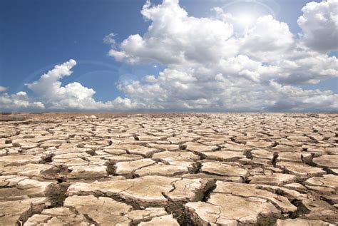 Food Supply Chain Suffering From Climate Change | SupplyChainBrain