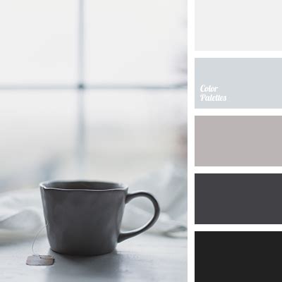 monochrome gray color palette | Color Palette Ideas