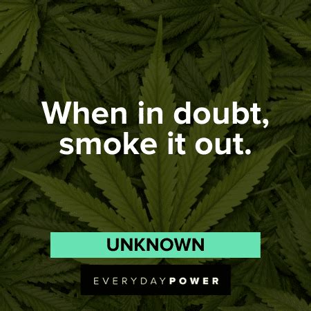 Stoner Quotes For The Next Time You Light That Blunt – Daily ...