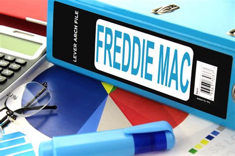 Freddie Mac - Free of Charge Creative Commons Lever arch file image