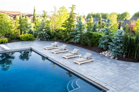 Pool Landscaping Ideas To Dip Your Toes In - Big Rock Landscaping