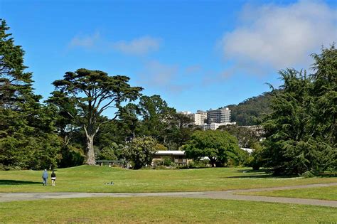 San Francisco Botanical Gardens: Everything You Need to Know