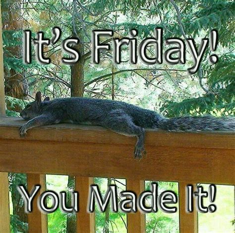 Good morning...TGIF!!! 💕 Happy Friday Gif, Friday Meme, Hello Friday ...