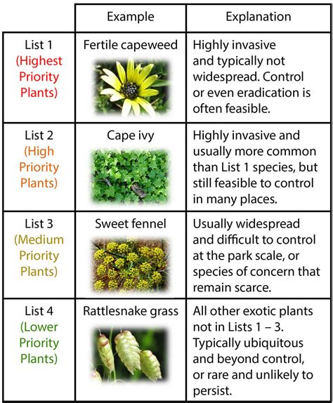 Invasive Plant Early Detection in the San Francisco Bay Area (U.S ...