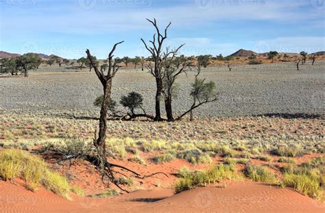 Desert Landscape - NamibRand, Namibia 16100784 Stock Photo at Vecteezy