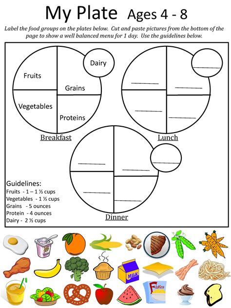 My Plate Activity Sheet - My Plate Ages 4 - 8 Label the food groups on ...