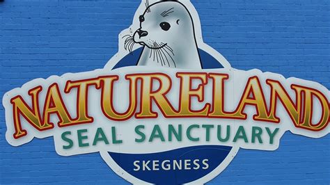 Natureland Seal Sanctuary Skegness July 2021 Visit #skegness #seal ...