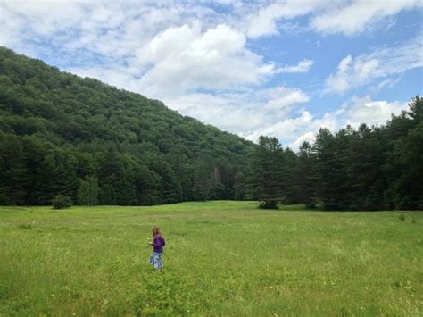 Cabin 7 - Picture of Mohawk Trail State Forest, Charlemont - TripAdvisor